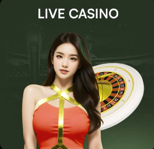 2026年3月28日英甲雷丁vs维冈竞技直播【24直播网】